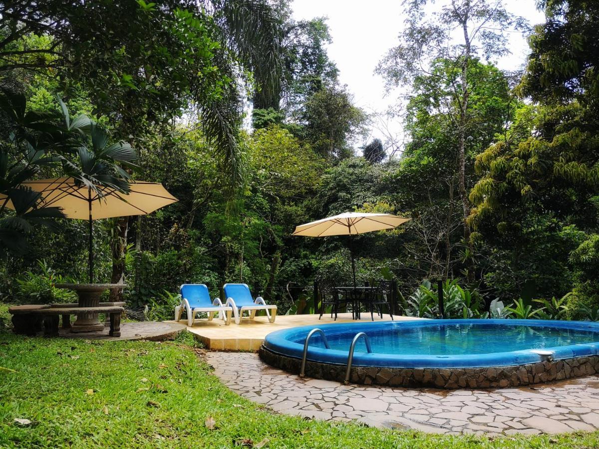 Casa Cedro - Portasol Vacation Rentals Matapalo  Екстериор снимка